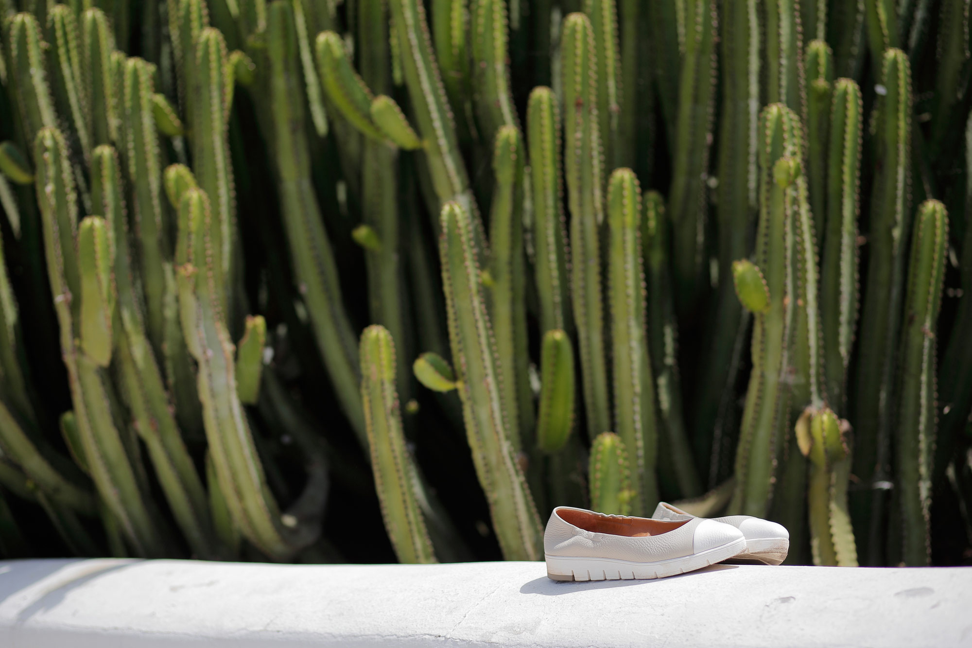 scarpe ballerine appoggiate su un muricciolo con lo sfondo di un cactus a lanzarote