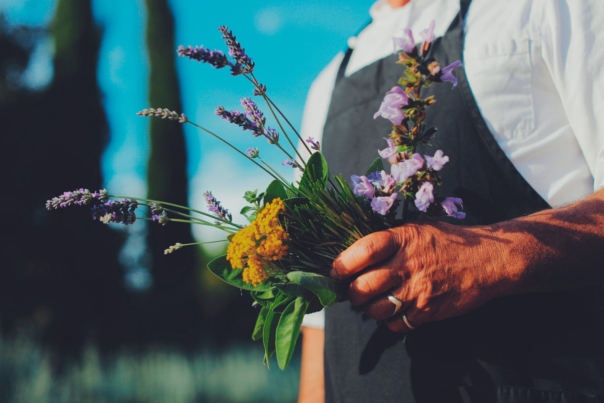 un mazzetto di fiori e erbe aromatiche nella mano dello chef del ristorante Le contrade in Chianti